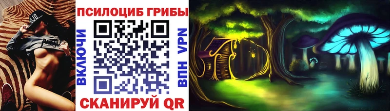 Псилоцибиновые грибы Psilocybe Севастополь